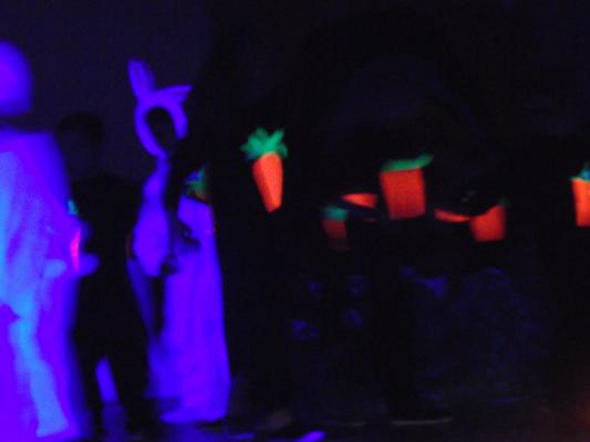 Dscf8236