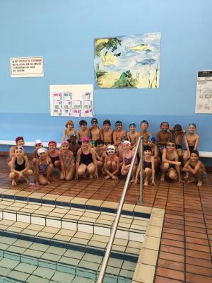 Natation