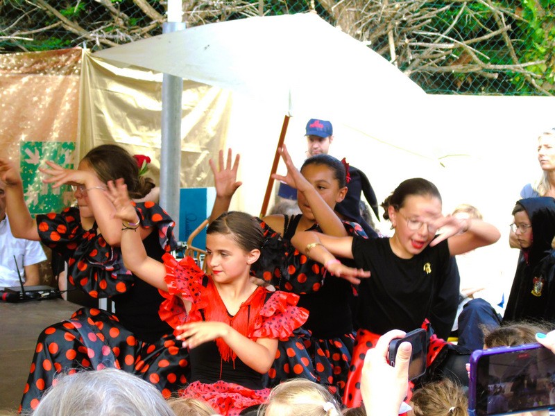 Dsc02213