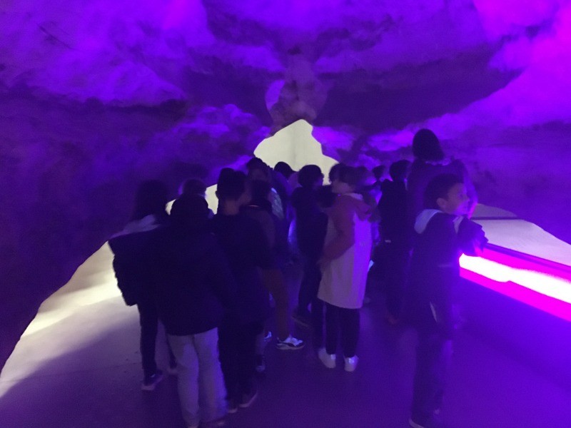 Img 0773