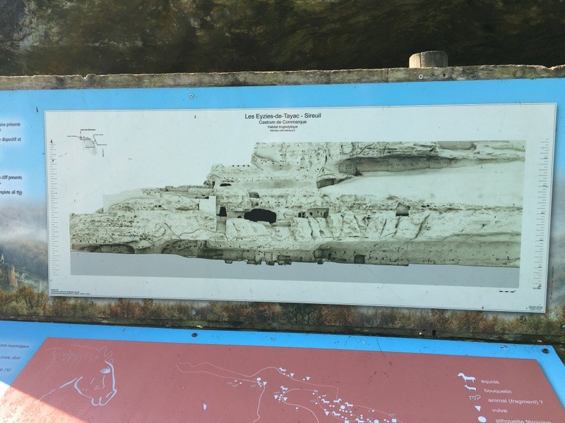 Img 0893
