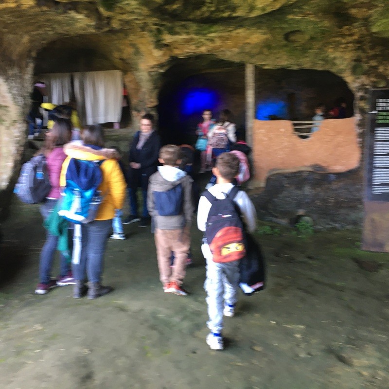 Img 0895