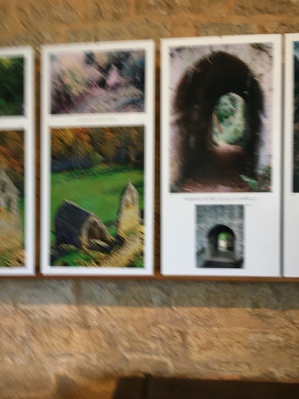 Img 0922