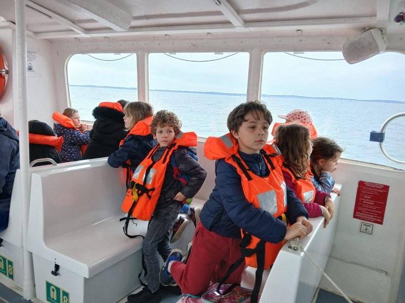Img 20250320 wa0047