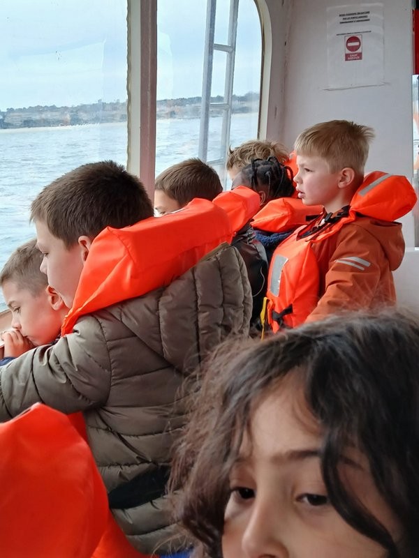 Img 20250320 wa0048
