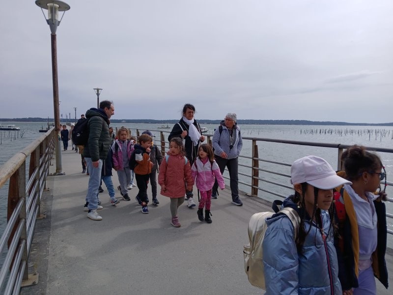 Img 20250320 wa0071
