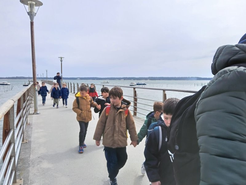 Img 20250320 wa0073