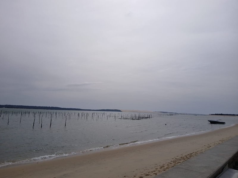 Img 20250320 wa0074