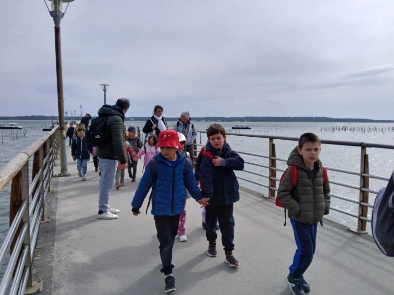 Img 20250320 wa0076