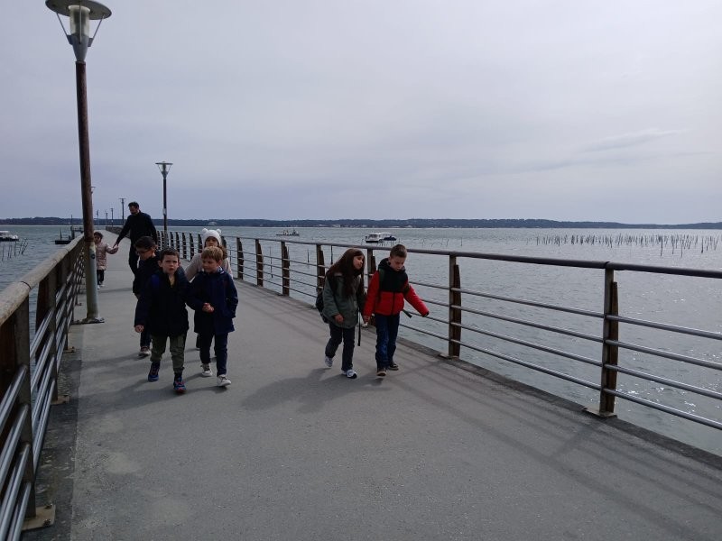 Img 20250320 wa0077