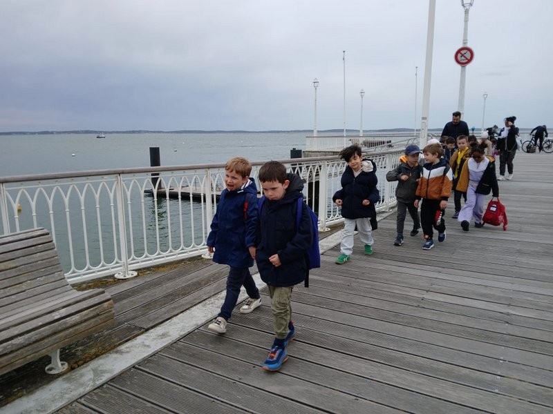 Img 20250320 wa0115