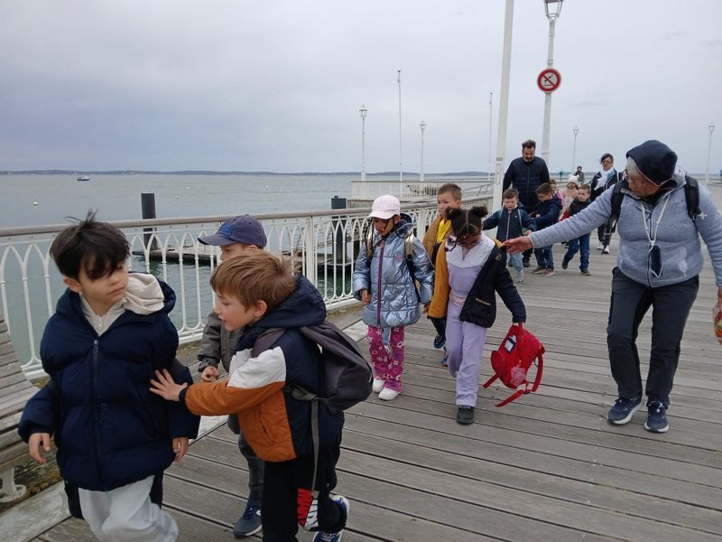 Img 20250320 wa0116