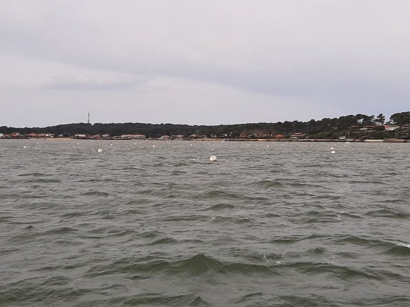 Img 20250320 wa0133