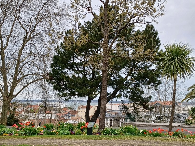 Img 20250321 wa0027