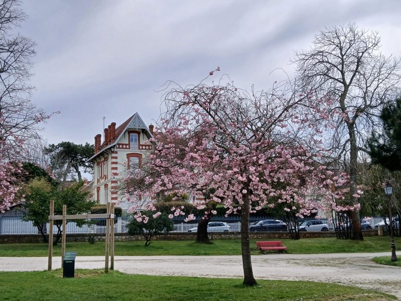 Img 20250321 wa0102