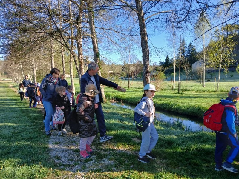Img 20250408 wa0114