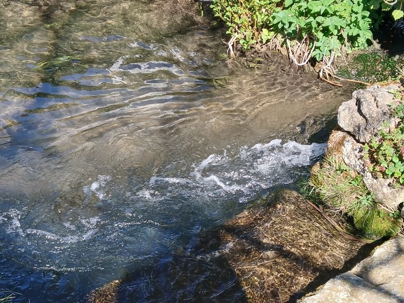 Img 20250408 wa0185