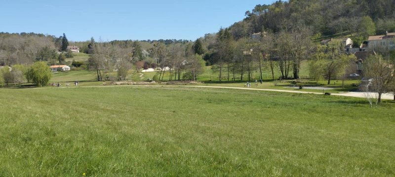 Img 20250409 wa0107