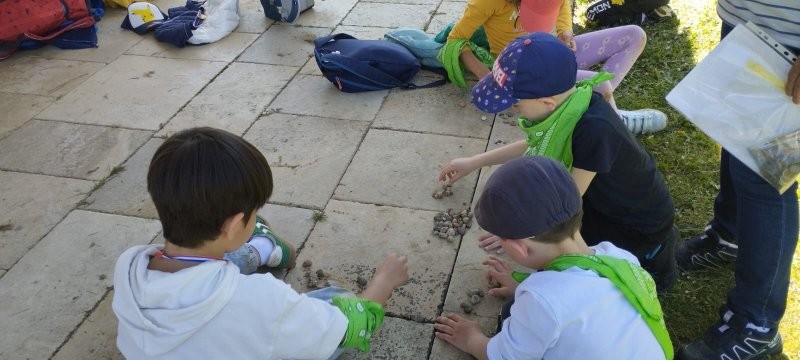 Img 20250409 wa0137