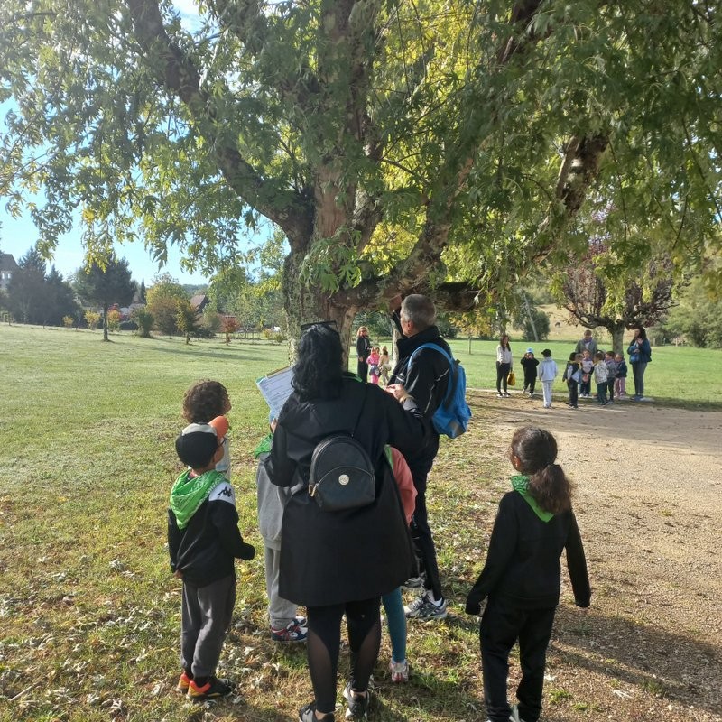 Img 20261010 wa0091