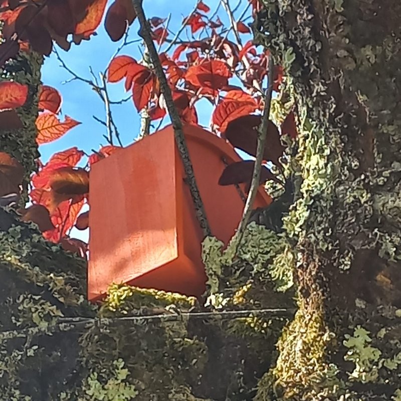 Img 20261010 wa0129