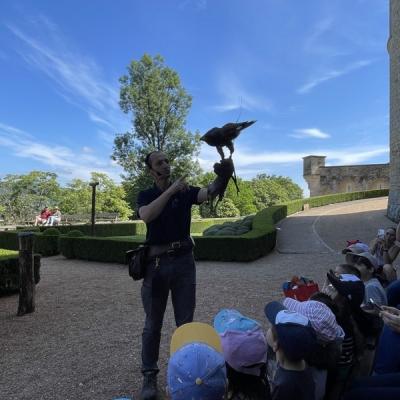 Sortie au château des Milandes MS