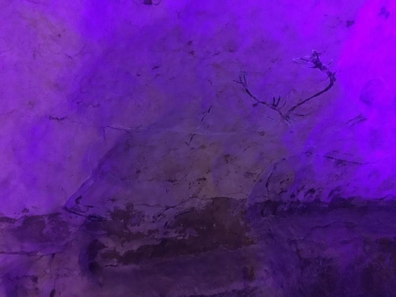 Photo 2025 04 17 13 42 22 19