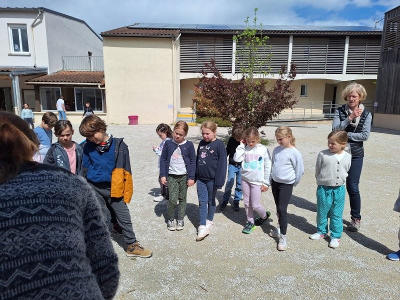 Photo 2025 04 17 14 36 44 2