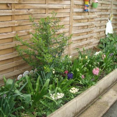 Projet horticulture